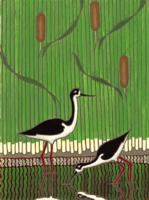 two black necked stilts.jpg