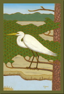 Great Egret.jpg