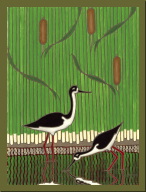 Two Black Necked Stilts.jpg