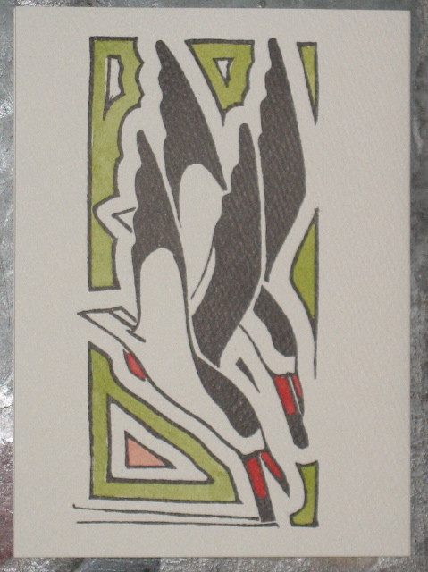 cardshearwaters.8.jpg