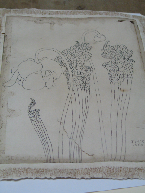 art 11-4-05 010.jpg