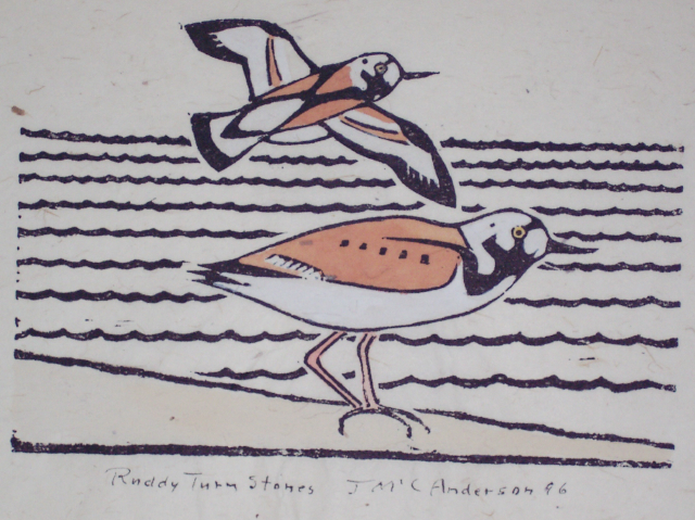 ruddy turnstones.jpg