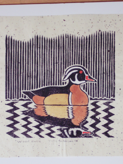 wood duck.jpg