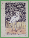 small great egret.JPG