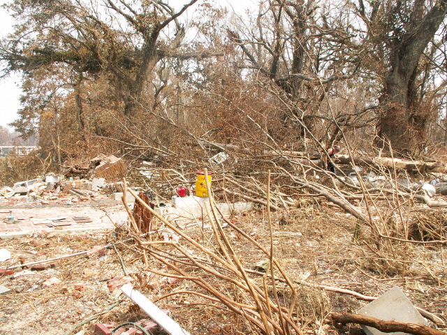 towardanniesroomfrom front.jpg